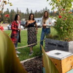 Okanagan Bee Tour, Wine Tasting and Lunch at Kelowna Winery - The Practical Side: What You Need to Know