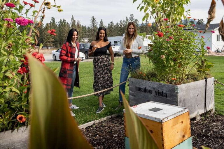 Okanagan Bee Tour, Wine Tasting and Lunch at Kelowna Winery - The Practical Side: What You Need to Know