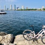 Old Milwaukee Lite 1:30pm E-Bike Tour - The Experience of Riding an E-Bike through Milwaukee