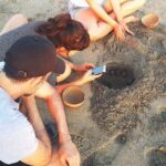 Olive Ridley Turtle Release Experience - Pricing and What You Get