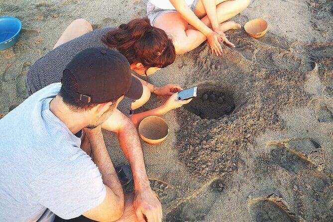 Olive Ridley Turtle Release Experience - Pricing and What You Get