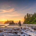 Olympic Full Day Private Tour and Hike - Who Will Love This Tour?