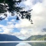 Olympic National Park Full-Day Tour W/ Scenic State Ferries - Who This Tour Is Best For