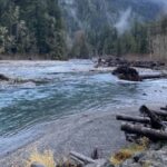 Olympic National Park: Half-Day Tour - Exploring What This Tour Offers