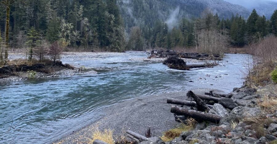 Olympic National Park: Half-Day Tour - Exploring What This Tour Offers