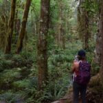 Olympic National Park: Hoh Rain Forest and Rialto Beach Tour - Hoh Rain Forest: A Walk Through Magic