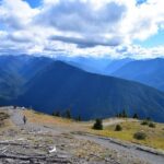 Olympic National Park: Sol Duc and Hurricane Ridge Tour - Transportation and Logistics