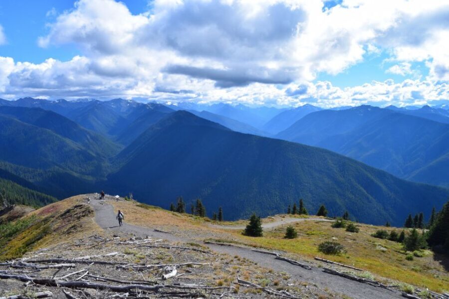 Olympic National Park: Sol Duc and Hurricane Ridge Tour - Transportation and Logistics