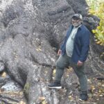 Olympic Peninsula and Forest Tour - Who Should Consider This Tour?