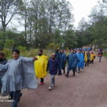 One day tour from Mexico City to Firefly Sanctuary - What to Expect on the Tour