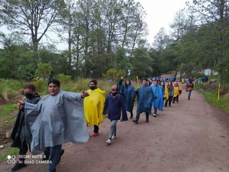 One day tour from Mexico City to Firefly Sanctuary - What to Expect on the Tour