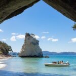 One Hour Cathedral Cove Boat Tour in Hahei - The Practical Details