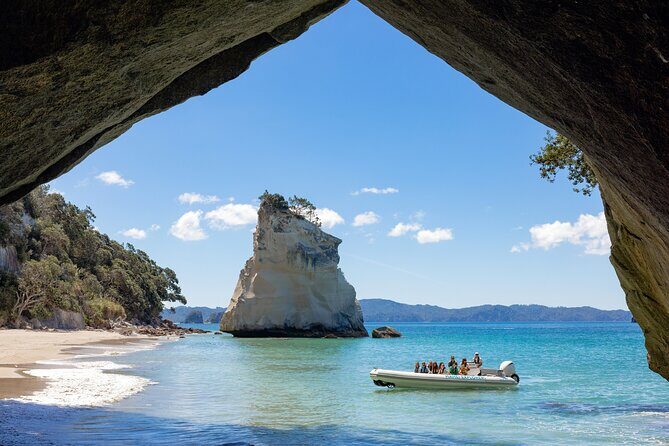 One Hour Cathedral Cove Boat Tour in Hahei - The Practical Details