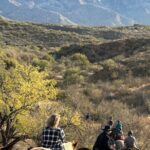 One Hour Guided Horseback Ride - The Practical Details and Value