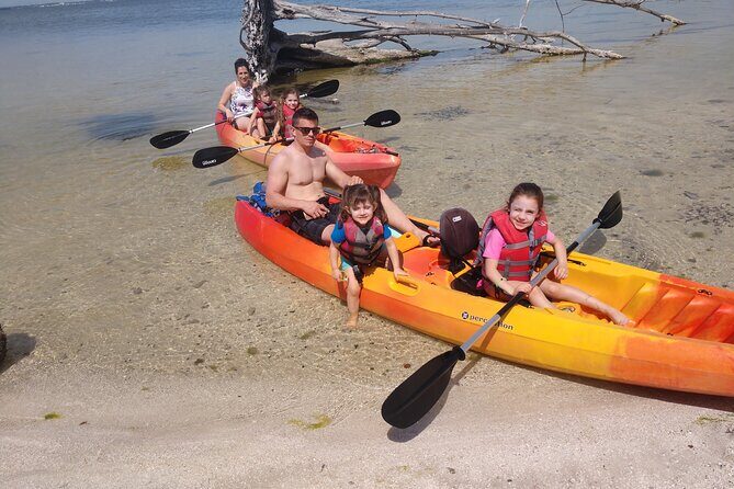One Single Kayak Rental for 2 hours with Manatee & Dolphin sightings! - Who Should Book This?