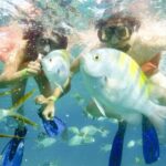 One Way Airport Transfer from SJD-Hotel or Hotel-SJD Cabo San Lucas Zone - How Reviews Shape the Experience