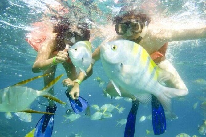 One Way Airport Transfer from SJD-Hotel or Hotel-SJD Cabo San Lucas Zone - How Reviews Shape the Experience