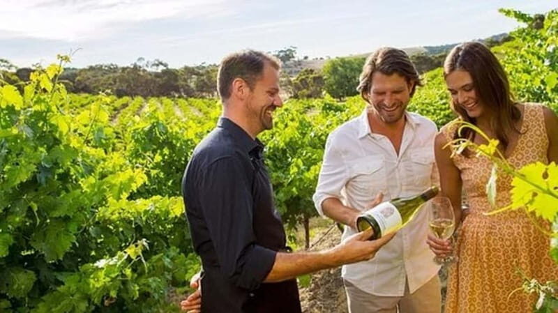 Ontario: Afternoon Wine Tour and Cheese Pairing - Frequently Asked Questions