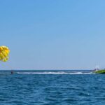 Orange Beach: Parasailing Experience - What Travelers Say: Pros and Cons