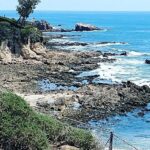Orange County Coastal Sightseeing Tour - Why This Tour Works Well