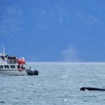 Orca whale tour near Seattle - Frequently Asked Questions