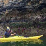 Orcas Island: Wildlife Spotting Kayak Tour - The Guides and Equipment