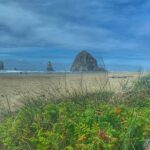 Oregon Coast Day Tour: Cannon Beach and Haystack Rock - Final Thoughts