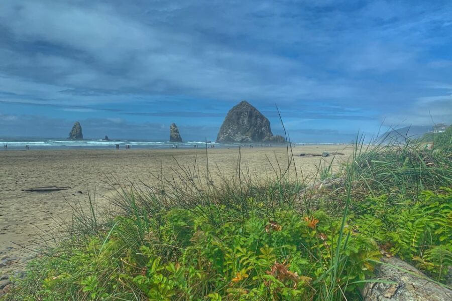 Oregon Coast Day Tour: Cannon Beach and Haystack Rock - Final Thoughts
