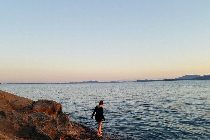 Oregon Coast Scenic Day Tour - What We Think About the Price and Overall Value