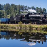 Oregon Coast: Scenic Railroad Excursion Along Coastline - Seating Options and Comfort