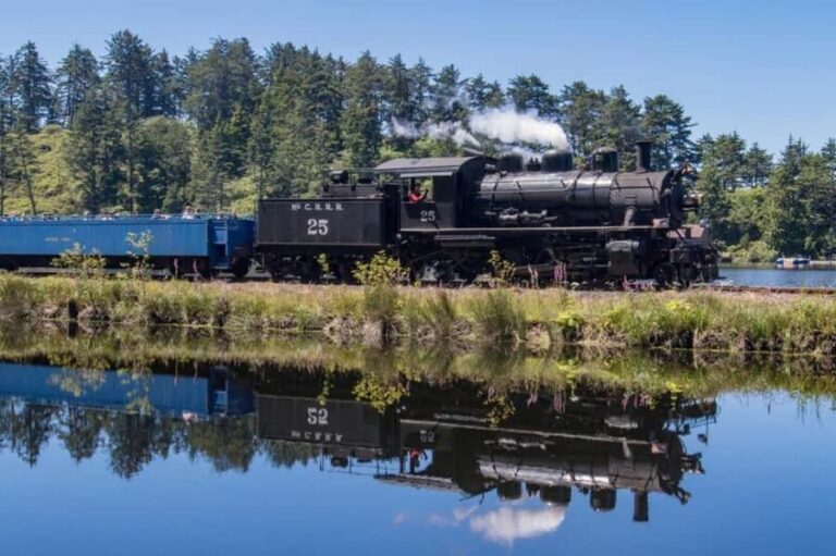 Oregon Coast: Scenic Railroad Excursion Along Coastline - Seating Options and Comfort