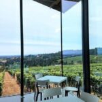 Oregon Wine Tour-Full Day Tour with Lunch Stop - A Deep Dive into the Experience