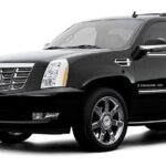 Orlando Airport Private Van Transportation to Port Canaveral - Free Meet & Greet - The Experience of Booking and Meeting Your Driver