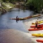 Orlando Alligator Experience: Day-Trip From Orlando - What You’ll Love About This Tour