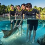Orlando: Discovery Cove Admission Ticket & Additional Parks - What We Like and What to Consider