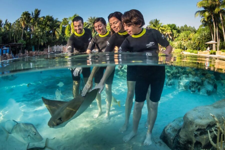 Orlando: Discovery Cove Admission Ticket & Additional Parks - What We Like and What to Consider