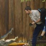 Orlando: Gatorland Interactive Tour with Animal Trainer - An In-Depth Look at the Gatorland Experience