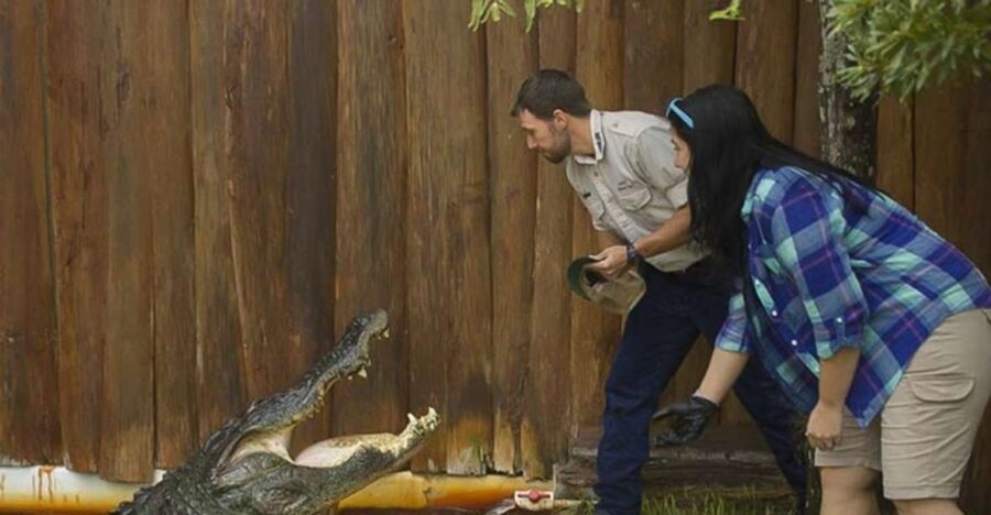 Orlando: Gatorland Interactive Tour with Animal Trainer - An In-Depth Look at the Gatorland Experience