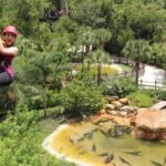Orlando: Gatorland Zipline Adventure w/ Full-Day Park Access - The Details: Making the Most of Your Zipline Adventure