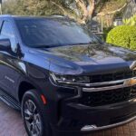 Orlando Int'l Airport (MCO) Private Transfer to Port Canaveral - The Experience of the Transfer