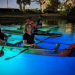Orlando: LED Night Glow Clear Kayak or Paddleboard Tour - Who Will Love This Tour?