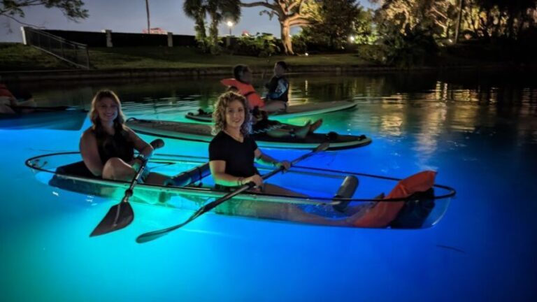 Orlando: LED Night Glow Clear Kayak or Paddleboard Tour - Who Will Love This Tour?