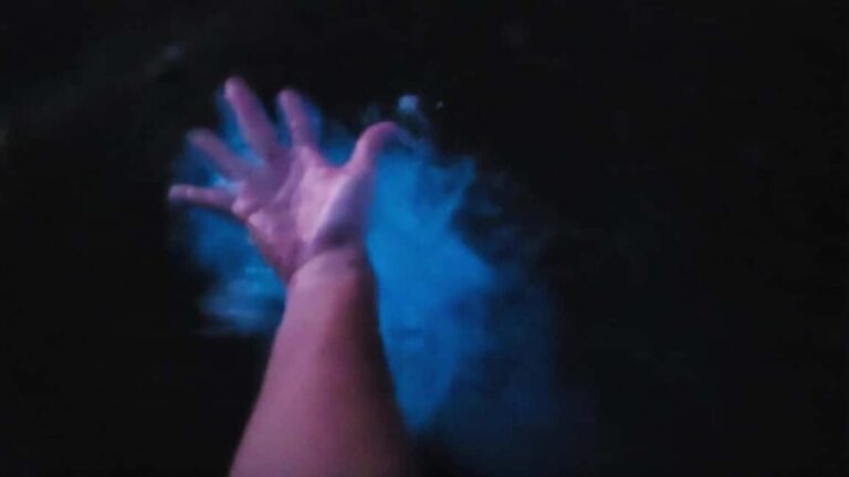 Orlando: Magic After Dark Bioluminescence Kayak Tour - What to Expect During the Tour