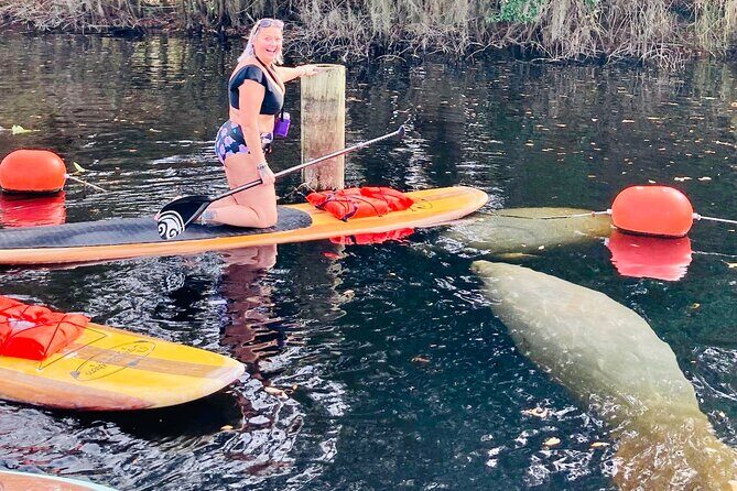 Orlando Manatee and Natural Spring Adventure Tour at Blue Springs - A Closer Look at the Itinerary