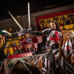 Orlando: Medieval Times Dinner and Show Ticket - Who Should Consider This?