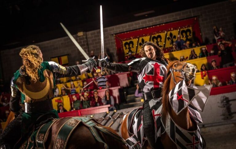 Orlando: Medieval Times Dinner and Show Ticket - Who Should Consider This?