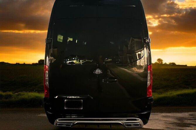 Orlando Private Luxury Service - The Booking Experience and Additional Info