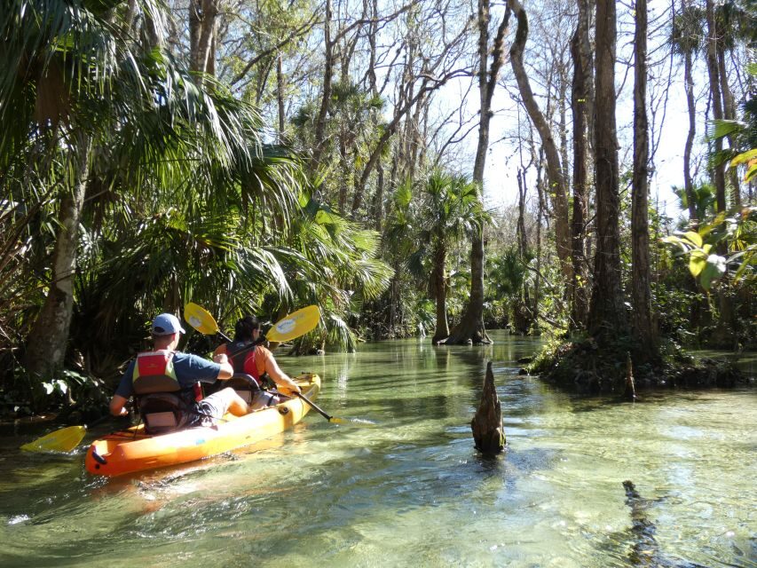 Orlando: Small Group Rock Springs Run Kayak Tour - An In-Depth Look at the Rock Springs Run Kayak Tour
