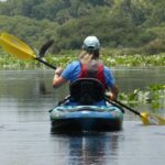 Orlando: Small Group Scenic Wekiva River Kayak Tour - Who will love this tour?