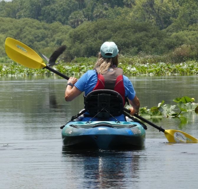 Orlando: Small Group Scenic Wekiva River Kayak Tour - Who will love this tour?